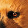 Adults Bear Moving Mouth Overhead Mask - One Size
