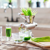 Roots & Harvest Stainless Steel Wheatgrass Juicer