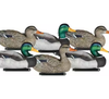 New Dakota Decoy X-Treme Packable Mallards Painted Heads Decoys 6-Pack
