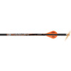 Ravin Lighted Crossbow Bolts 400 gr. .003 3 pk.