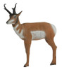 Delta McKenzie Outdoor Hunting 22420 Pro 3D - Pronghorn Antelope Archery Target