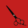 Kashi C-530CB Japanese Cobalt Steel Black 5.5" Salon Hair Cutting Shears