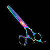 Kashi CB-522TR Swivel Thumb 30 Teeth 6" Rainbow Thinning / Texturizing Shears