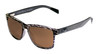 Moto CF Progressive Standard Brown Lens Sunglasses with Liquid Black Frame