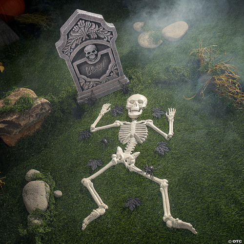 Coffin With Skeleton Bones Set (14Pcs)