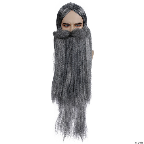 Wizard Wig & Beard Set