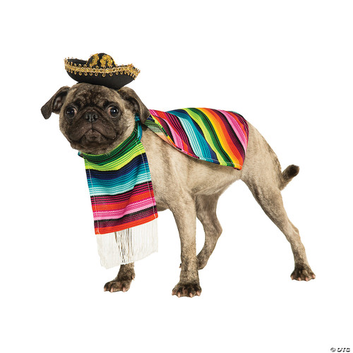 Rubies Serape and Hat Pet Costume Pet Costume for Dogs or Cats, Medium