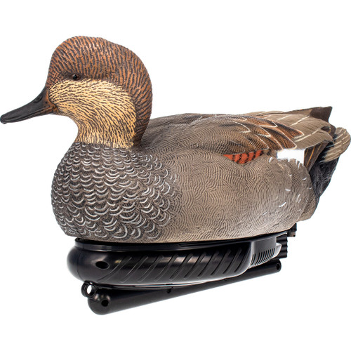 AvianX Power Swimmer Duck Decoy Gadwall Drake
