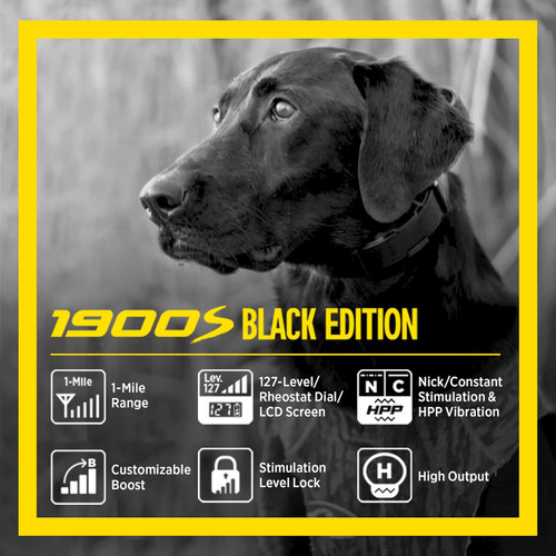 Dogtra 1900S Boost And Lock Remote 1-Mile Range Dog Trainer Black E-Collar