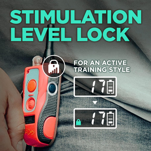 Dogtra Tom Davis 280C 1/2 Mile Range Ultra-Compact Receiver Training E-Collar