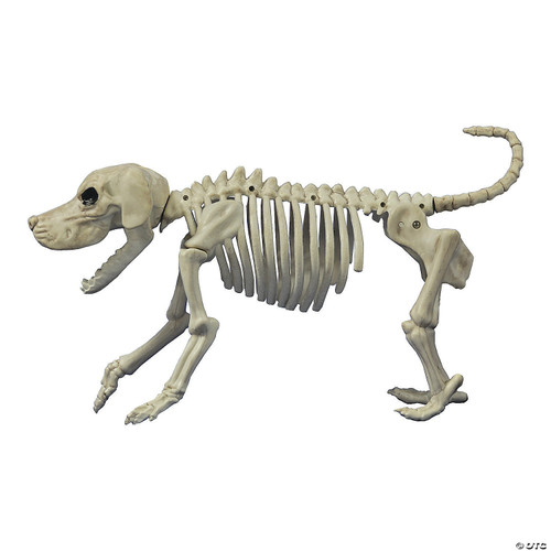Crazy Bonez Skeleton Dog - Beagle Bonez
