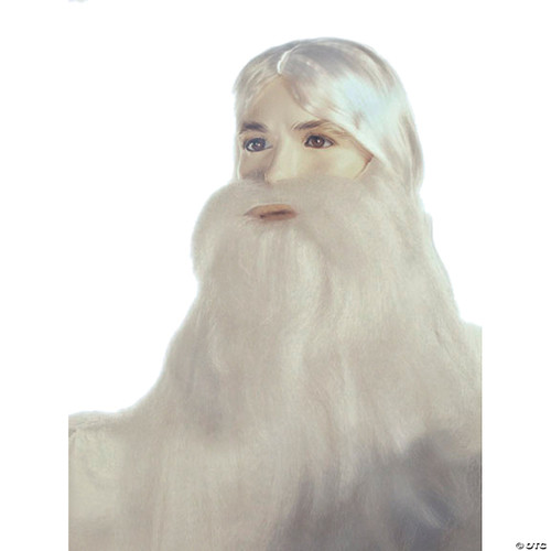 Wizard Beard and Wig Set White