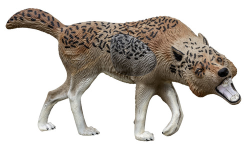 Rinehart Masterpiece Series Snapping Wolf Archery Hunting Target - IBO