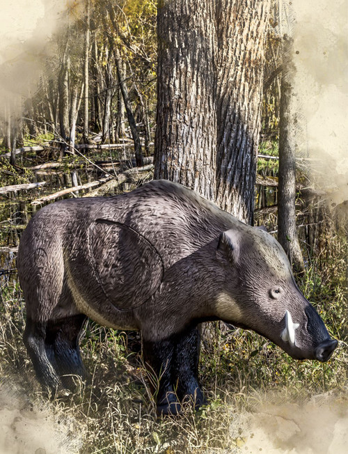 Rinehart Hogzilla Archery Hunting Target - ASA