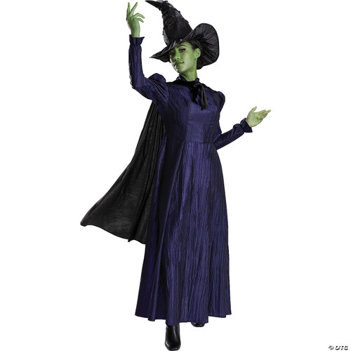 Disguise Wicked Elphaba Costume, Deluxe Official Wicked Elphaba Costume Cape and