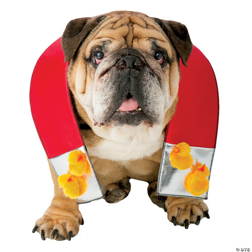 Zelda Chick Magnet Dog Costume - Available In Sizes Pet Xs/X, Pet M/L And Pet