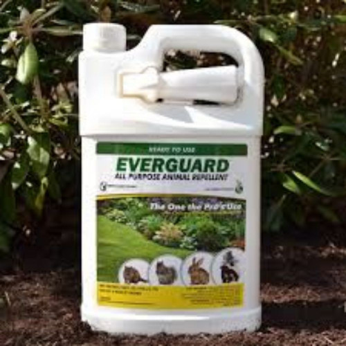 Everguard Repellents Everguard Repellent Deer Rabbit 32oz Rtu