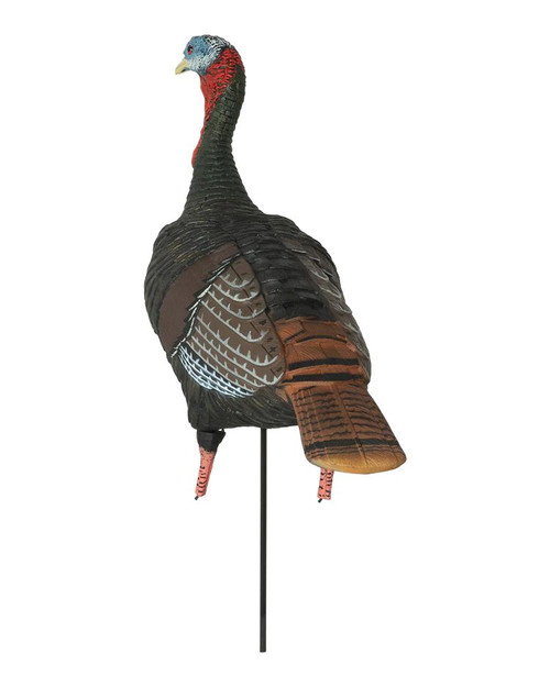 Banded Ghg Pro Grade Xd Upright Jake Turkey Decoy