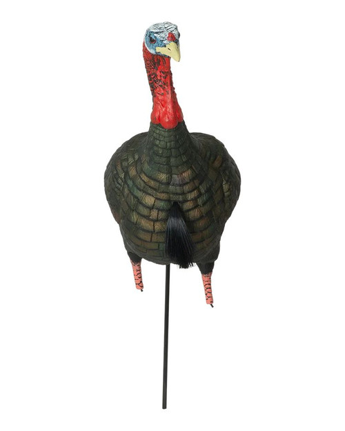 Banded Ghg Pro Grade Xd Upright Jake Turkey Decoy