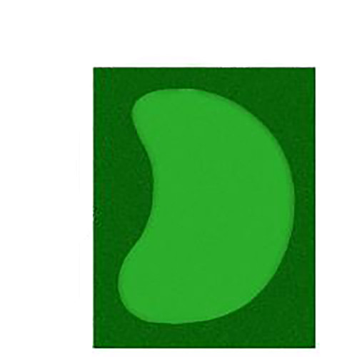 Cimarron Complete Par Saver Putting Green w/ Symbior Fringe (Kidney) in 15'x19'