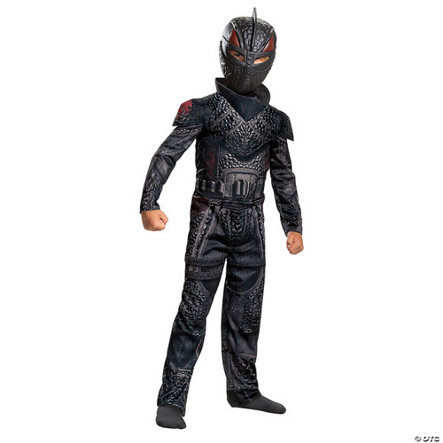 Boy's Hiccup Classic Costume, Kids 4-6