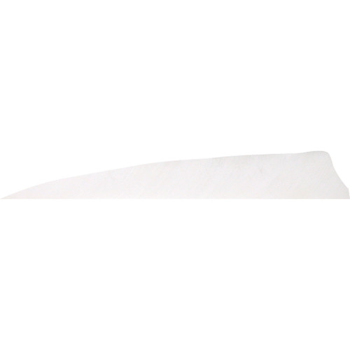 Gateway Shield Cut Feathers Flo White 4 in. LW 50 pk.