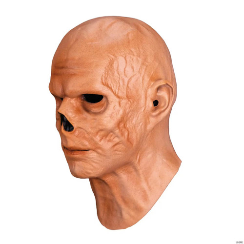 Adults Fallout Series The Ghoul Overhead Latex Mask