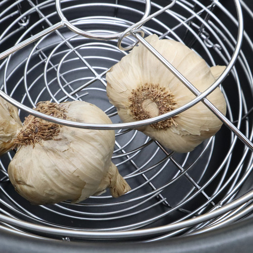 Roots & Harvest Black Garlic Multi-Purpose Fermenter