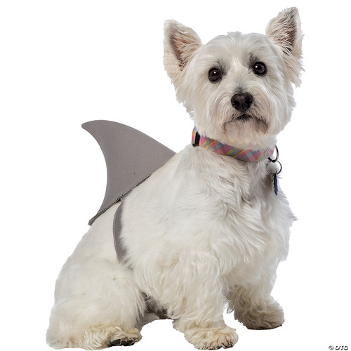 Rasta Imposta Shark Fin Dog Costume, X-Small/Small