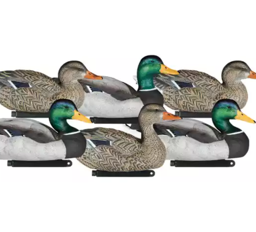New Dakota Decoy X-Treme Packable Mallards Painted Heads Decoys 6-Pack