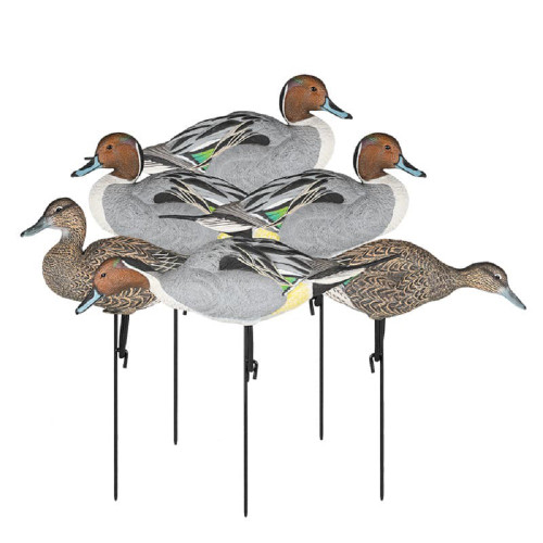 New Dakota Decoy Pintail Fullbody 6 Pack