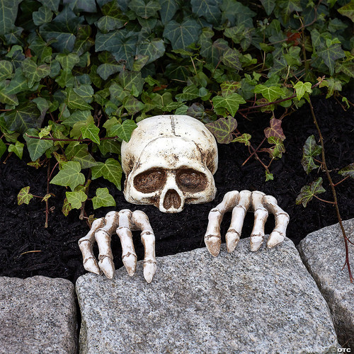 Skeleton Grave Breaker Set