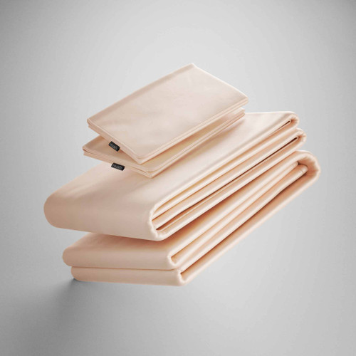 Hush Blanket Iced Tan Sheet and Pillowcase Set in Twin