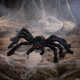 Walking Spider/Animated Spider