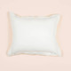 Purecare Dr. Weil Sonoran Zippered Closure Pillow Sham In Size Euro