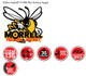 Morrell Yellow Jacket YJ-450 Plus Archery Target for Crossbow and Compound