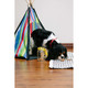 Pacific Play Tents  Pet Teepee With Wood Poles