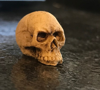 1/12 Scale Miniature Skull