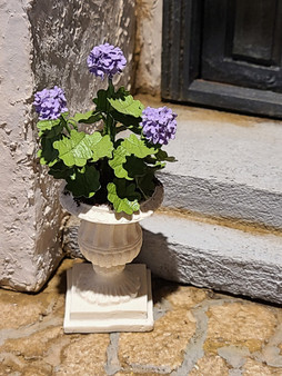 Miniature Purple Geraniums in Planter 