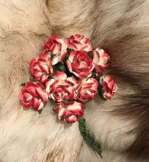 Red & White Paper Roses