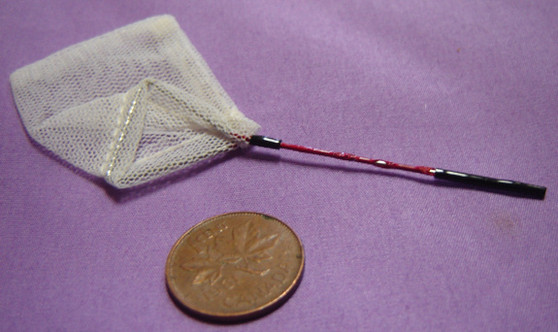 Fish/Butterfly Net