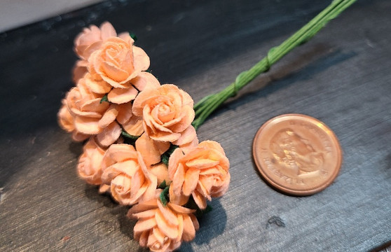 Peach Paper Roses