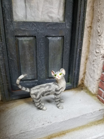 Grey Tabby Cat with Tail Up