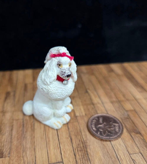 1/12 Scale -  White Poodle