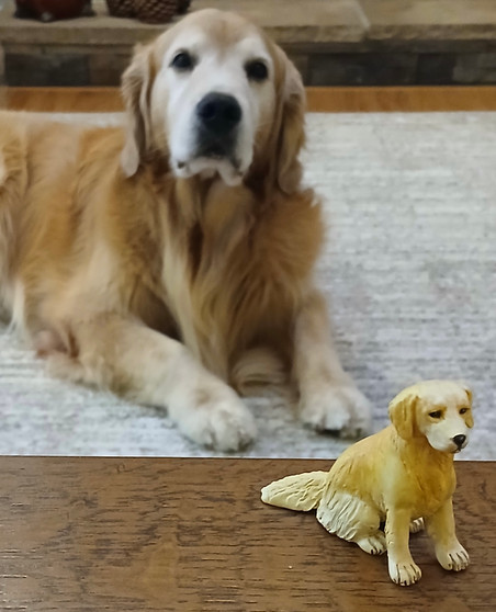 "Your Dog in Miniature" Workshop with Karl Blindheim
