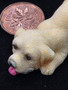 1/12 Scale Lying Golden With Tongue Out