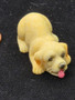 1/12 Scale Lying Golden With Tongue Out