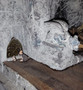 Mouse House Door #5