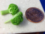 Handmade Green Broccoli