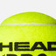 Head Padel Pro+ Can of 3 Padel Balls